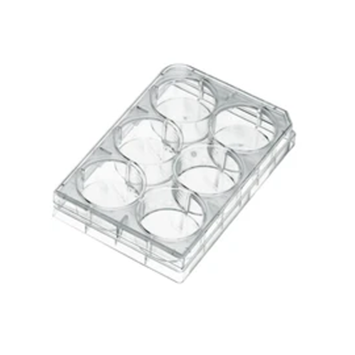 Đĩa petri nhựa nuôi cấy tế bào nhiều vị trí – Biologix